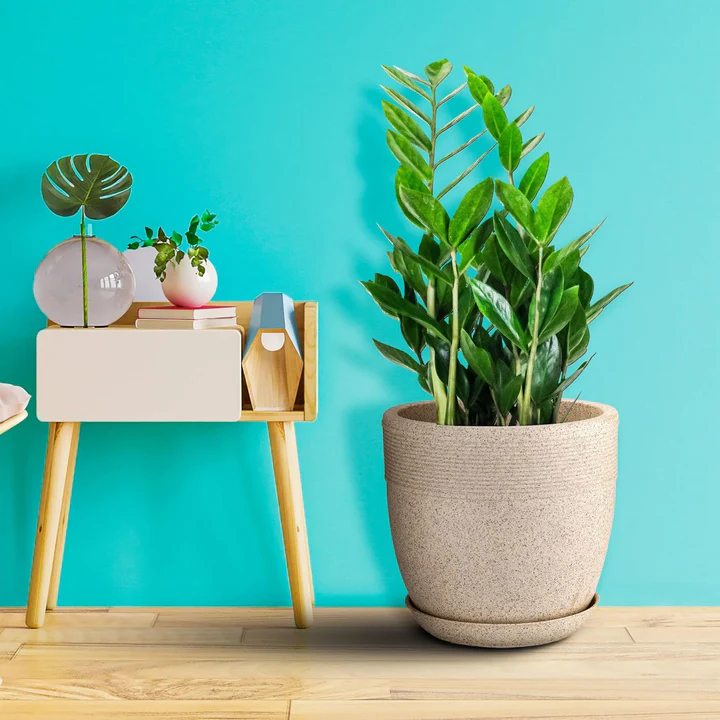 Roto Moulded planters